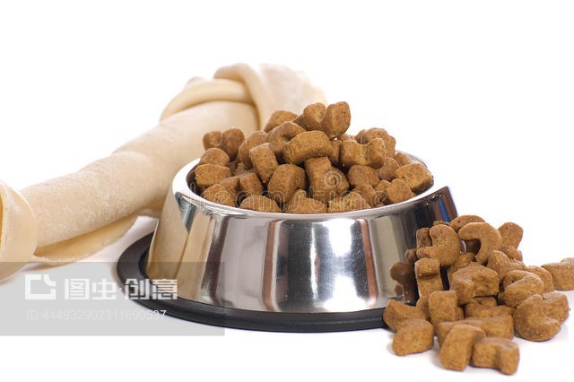 寵物食品 科學喂養(yǎng)與健康選擇